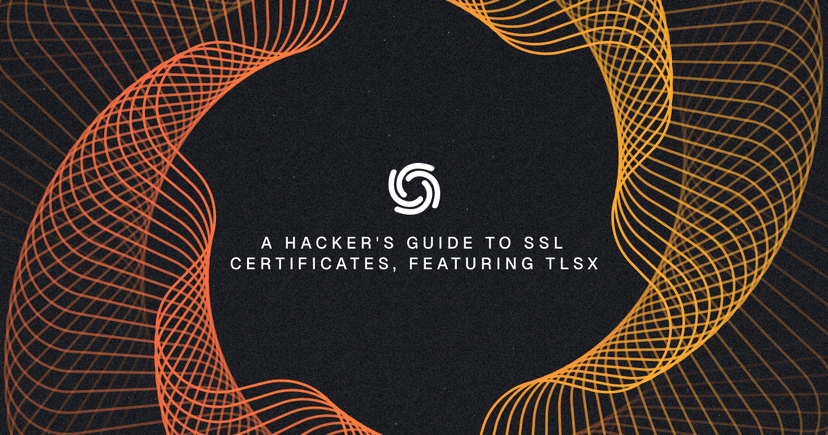 A hacker's guide to SSL certificates, featuring TLSx