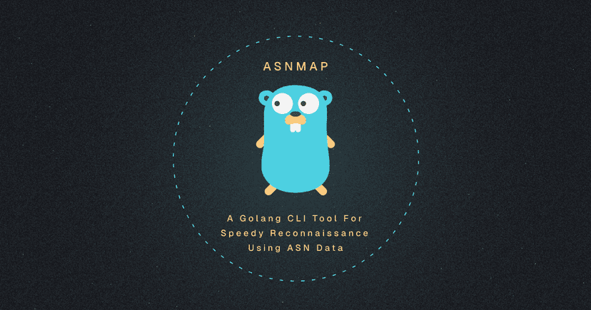 Introducing ASNMap: A Golang CLI tool for speedy reconnaissance using ASN data