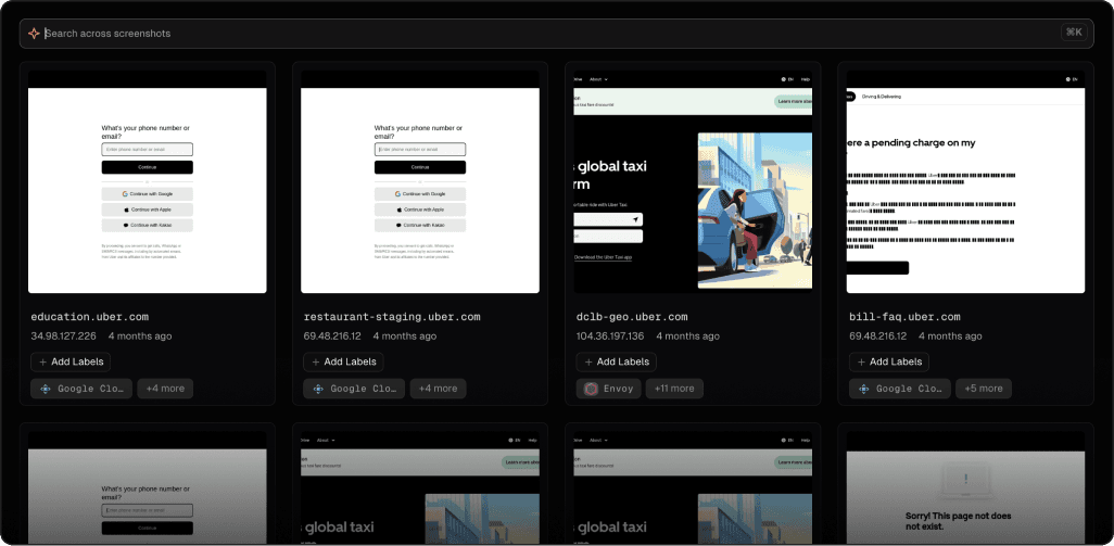 Asset screenshot search